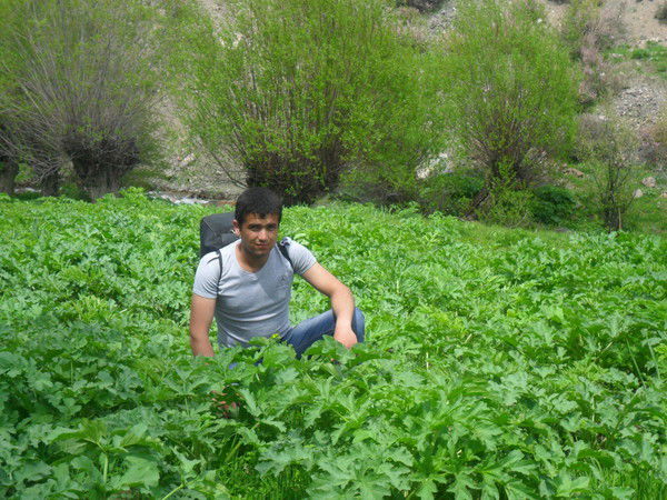 Давлат Тураев