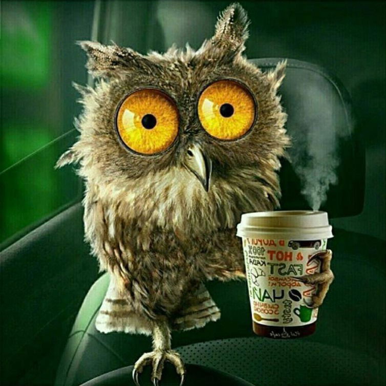 Татьяна Белоцерковская Бацманова