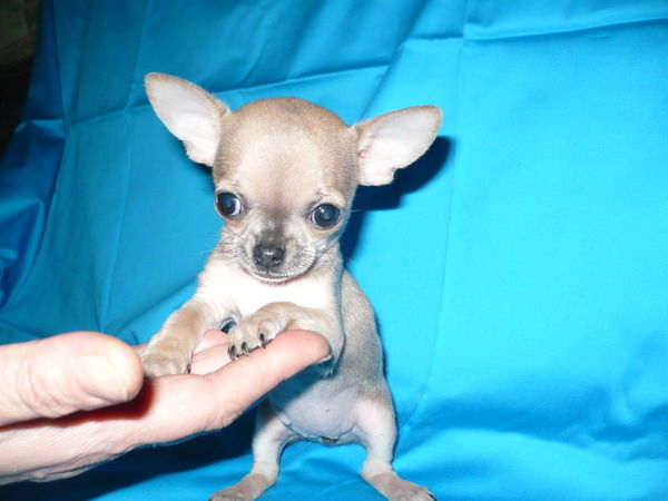 Мария Митрохина