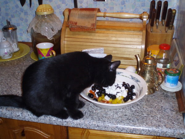 Yakovlenina Яковлева