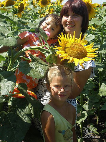 Марина Соколова