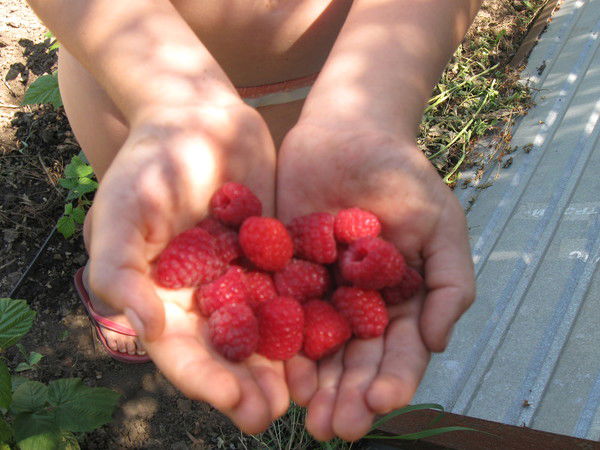 Лена Самунь