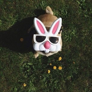 Ильнур Ахмади