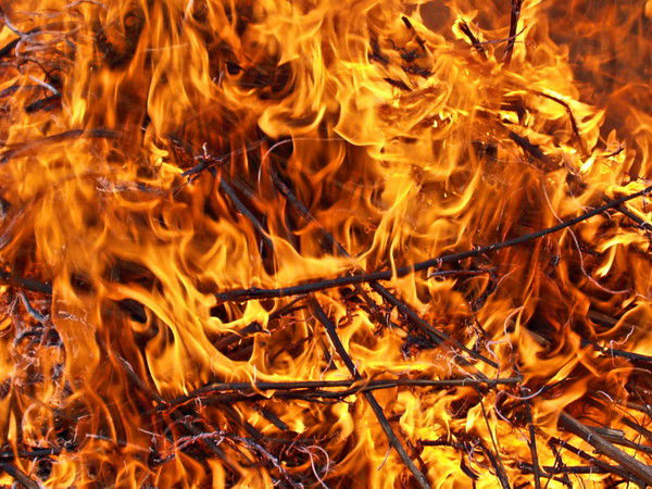 Оленька Евтушенко