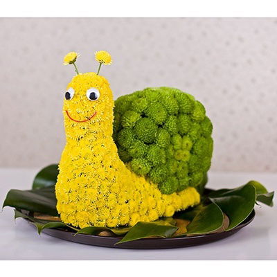 Крокус Цветы