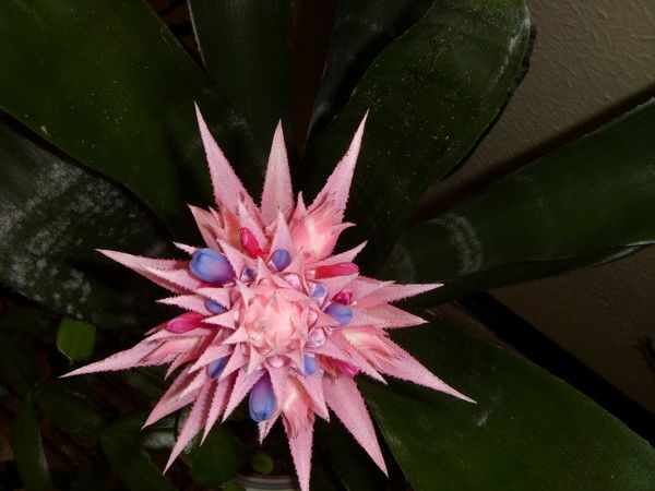 Виктор Андреевич