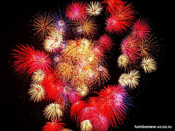 Саша Салдаева