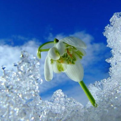 Евгения О........