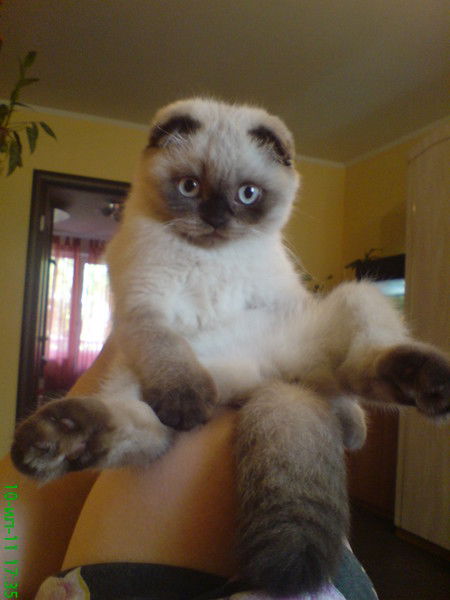 Ирина Ткаченко