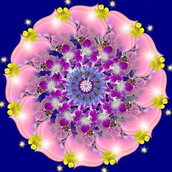 Марина-Анастасия ++++