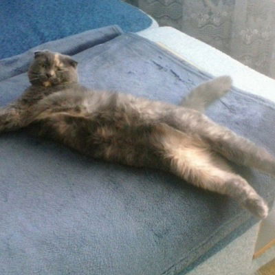 Анастасия Бреусова