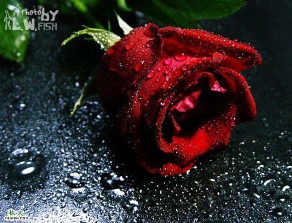 Дина Сандыбаева