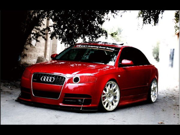 Данил Сальников