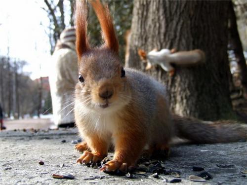 Ольга Кайндли