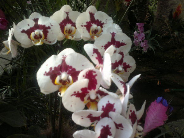 Лариса Владимировна