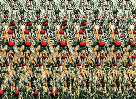 Диана Диана