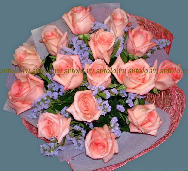 Айка Айка____