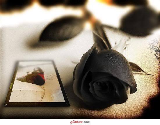 Юрий Конышев