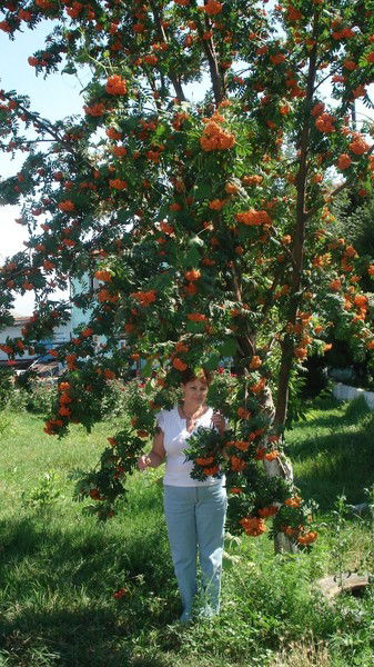 Раиса Задорожная