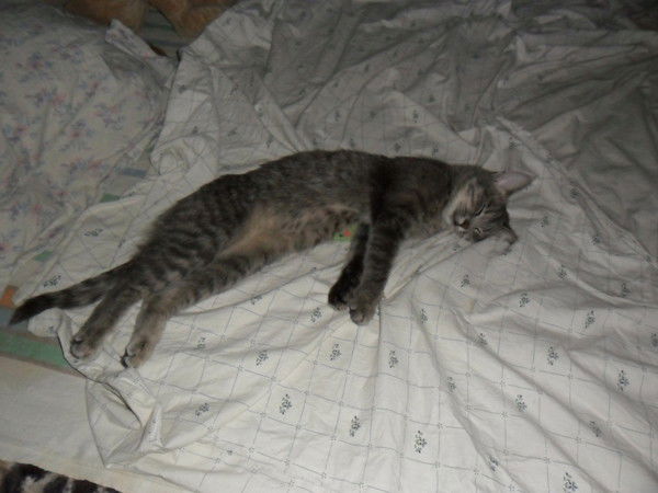 Алексей Иванов