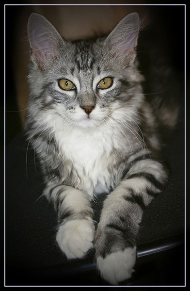 Вадим Долгих