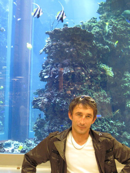 Николай Николаев