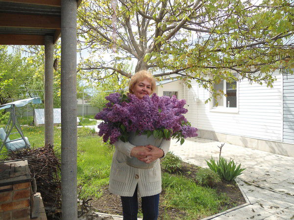 Елена Паровая