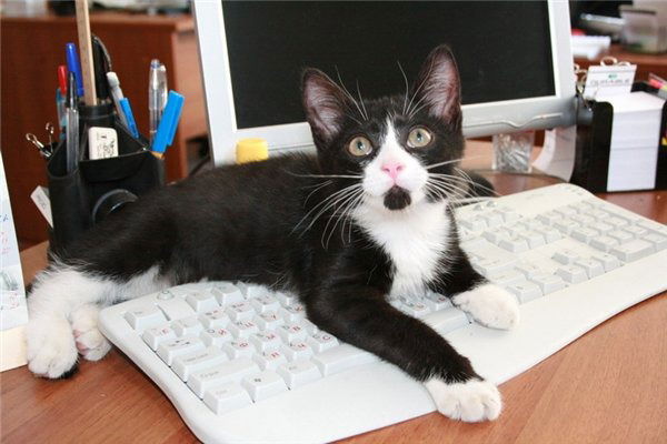 Вадим Орлов