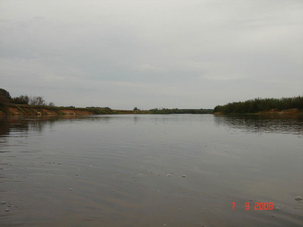 Алексей Жуков