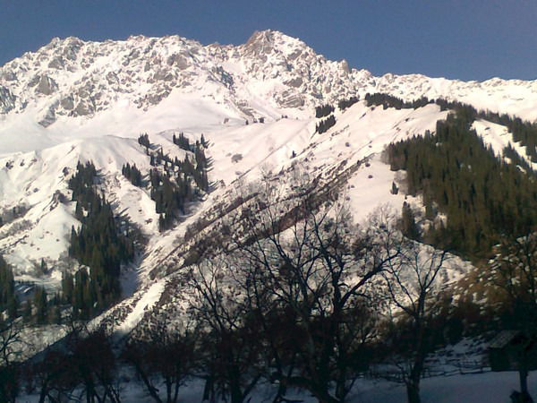 Талантбек Маматкаримович