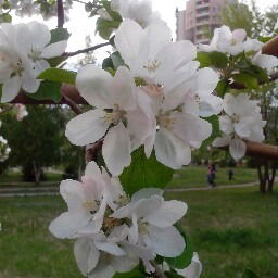 Татьяна Кундакбаева