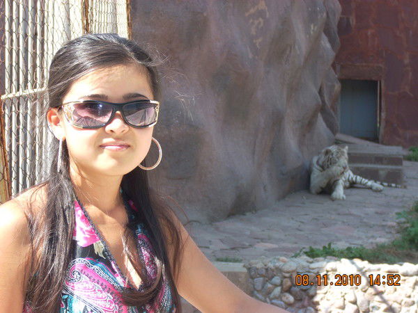 Светлана Ельникова