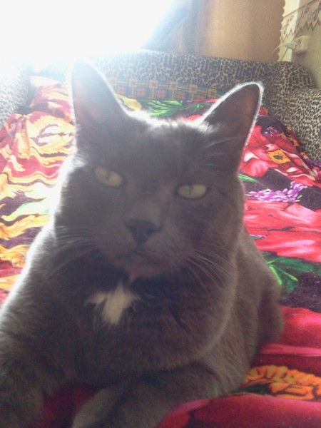 Марина Коновалова