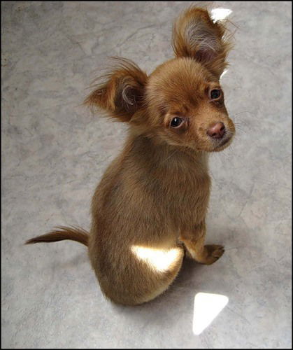 Наталья Камнева