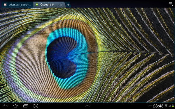 Марина Первушина