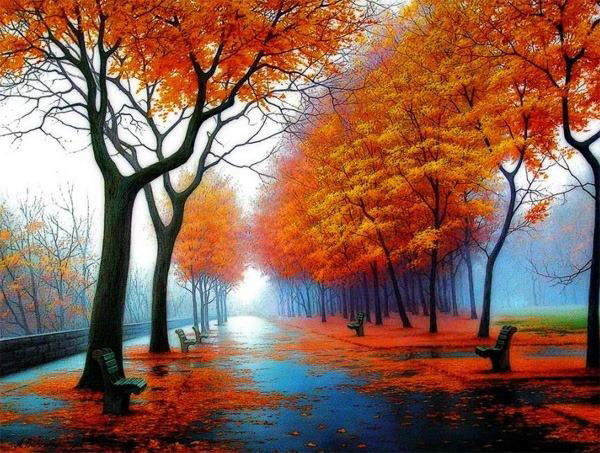 Жазира Калиева