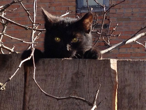 Зульфия Бибякова