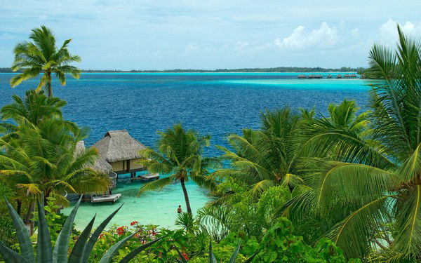 Тимур Утяганов