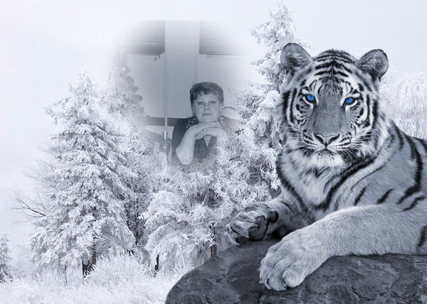 Татьяна Шелягина