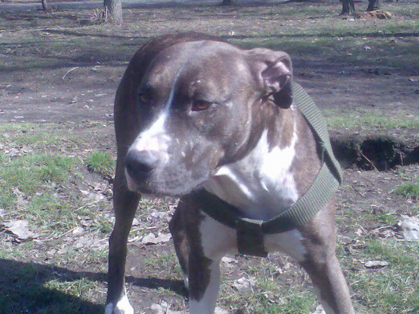 Игорь Саванькин