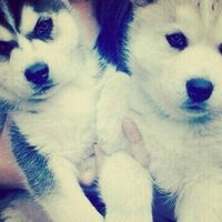 Лина Фрошина