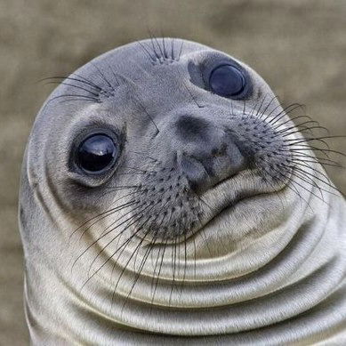 Димкоо Власюк