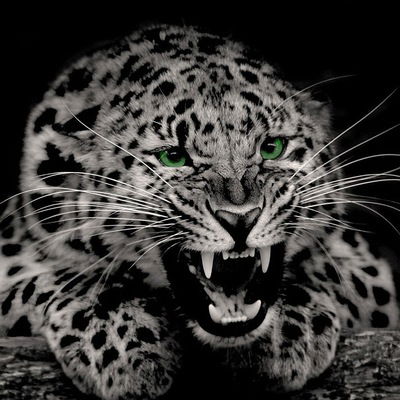 Руслан Калимуллин