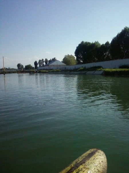 Баян Агайдарова