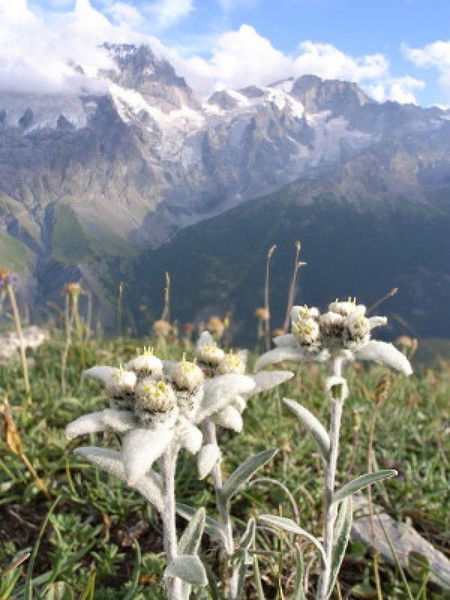 Наталья Наталья