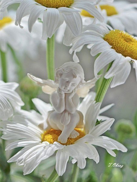 Ирина Меньшикова