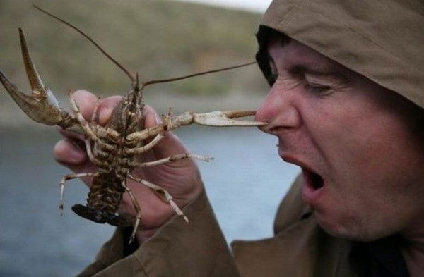 Денис Дюмин