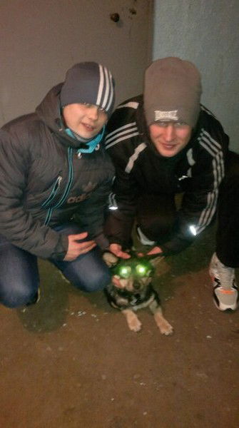 Вадим Литвин