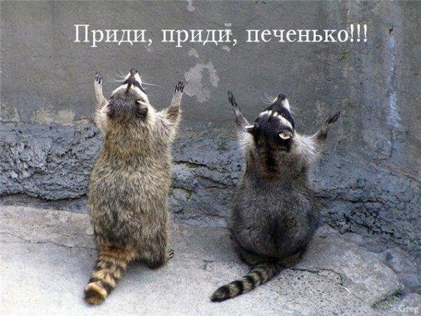 Лёд Зомби 34 Уровень