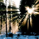 Иван Каменков